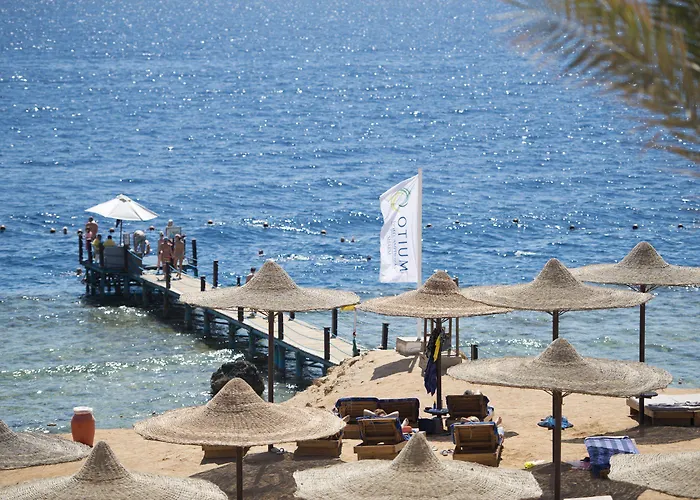 Amphoras 5* Sharm El-Sheikh